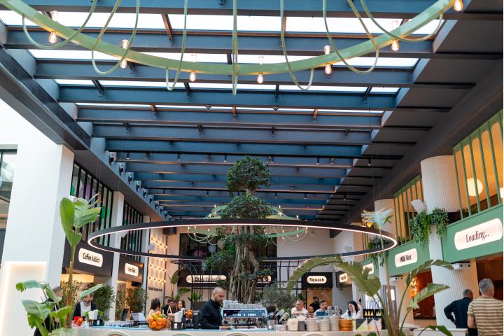 AVI Garden
