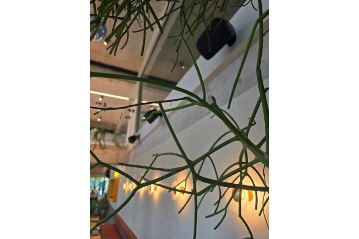 Luna Bistro Avigarden