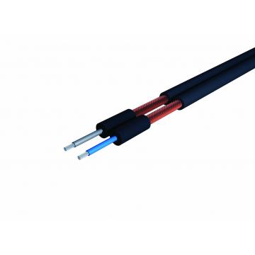 CAE Group -DUAL 22 - Cablu instrumente. 2 x 0.22 mm²