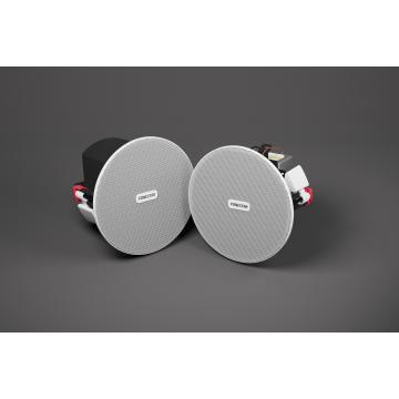 SKY-3XT ceiling speakers - FONESTAR