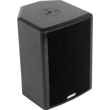 Adamson PC 6 Speaker