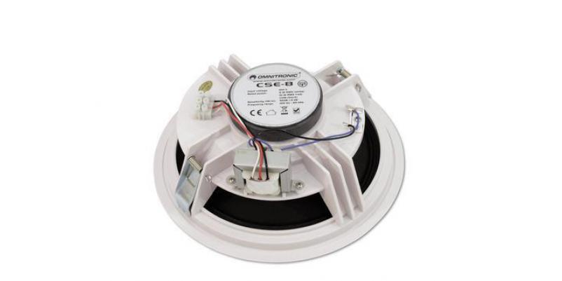 CSE-8 Ceiling speaker