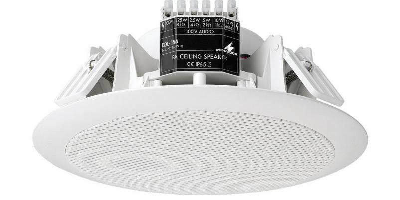 EDL-156, weatherproof PA ceiling speaker