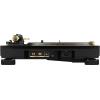 Pick-up Pioneer PLX-1000-N - auriu